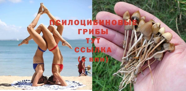 мдпв Сатка