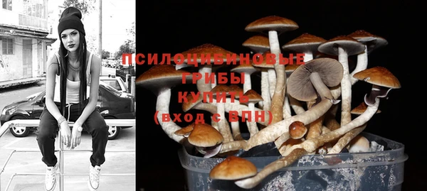 круглые Алексеевка