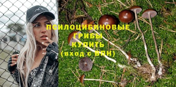 круглые Алексеевка