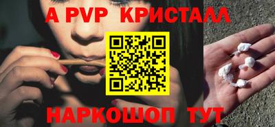 СК Кохма