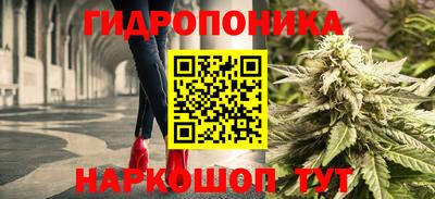 гашик Красноармейск
