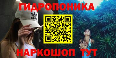 гашик Красноармейск